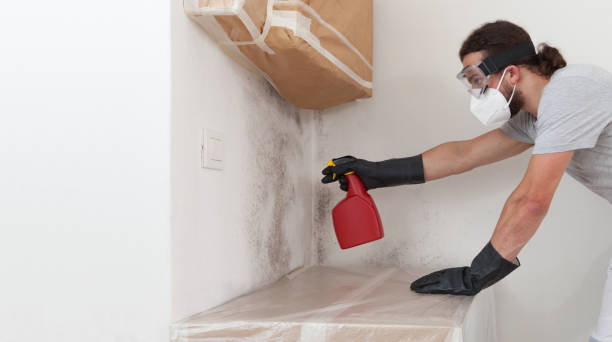 Professional Bathroom Mold Removal technician working in Brandenburg, KY